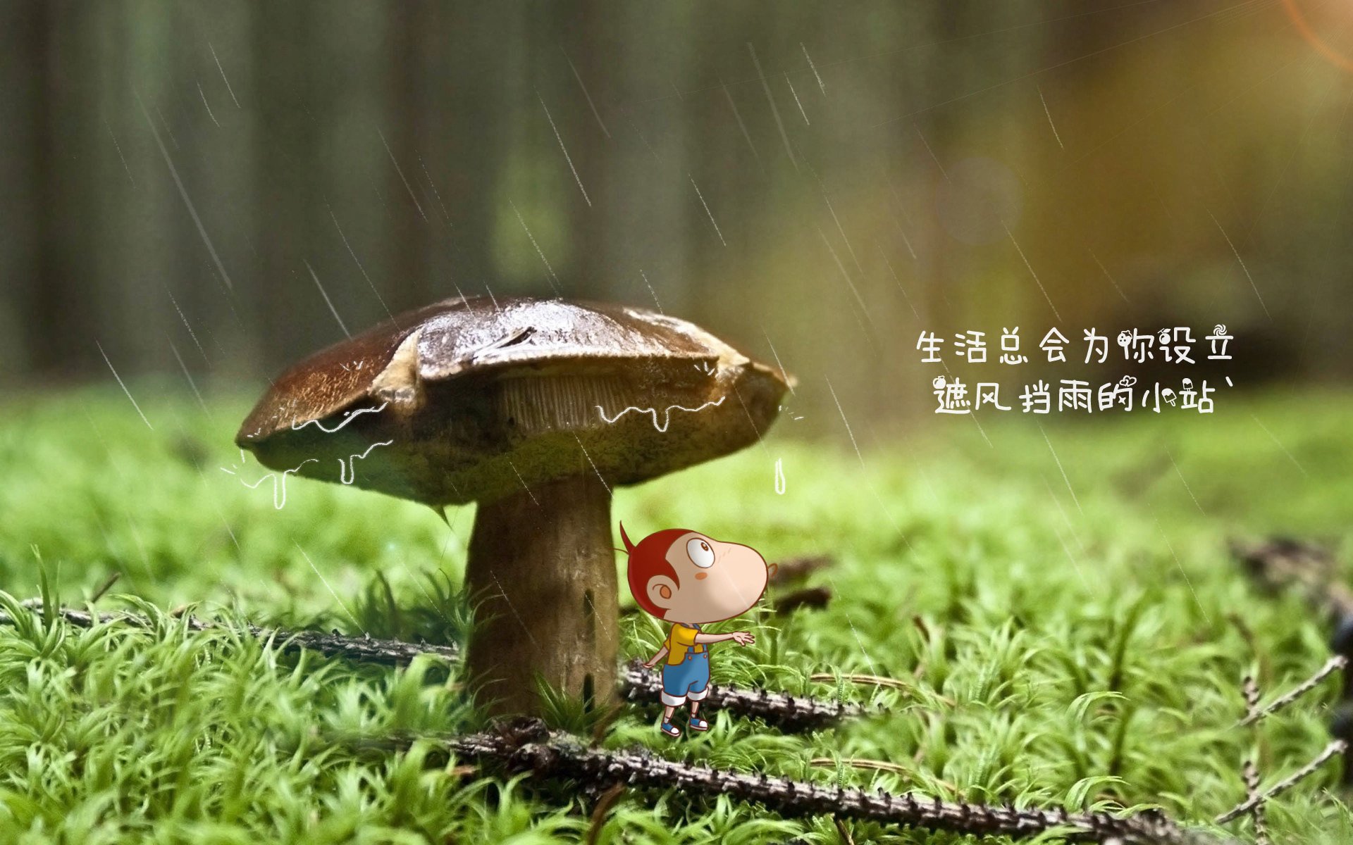 2026 世界杯亚洲区预选赛黑马总结：约旦与伊拉克的崛起之路。，2026世界杯亚洲区预选赛规则